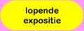 ButtonLopendeExpo
