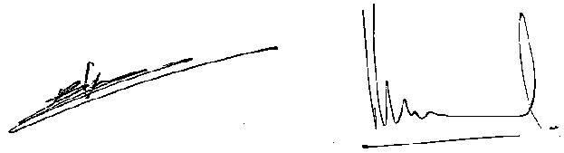 ondertekenaars voor de Raad van State